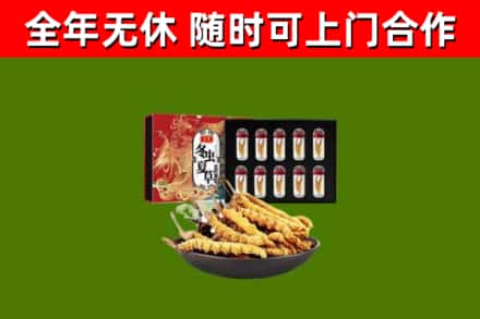 织金回收冬虫夏草价格