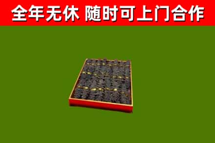 织金回收海参